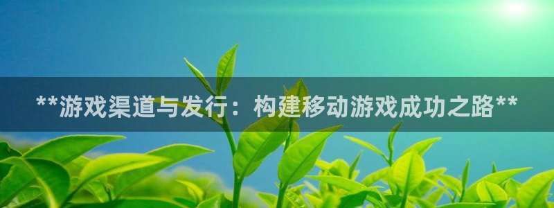 天辰平台 注册你的专属平台入口在哪：**游戏渠道与发行：构建移动游戏成功之路**