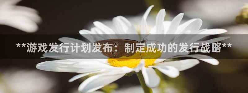 天辰娱乐app里面做任务是真的吗贴吧怎么样：**游戏发行计划发布：制定成功的发行战略**
