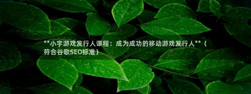 天辰平台登录地址在哪里：**小宇游戏发行人课程：成为成功的移动游戏发行人**（
符合谷歌SEO标准）
