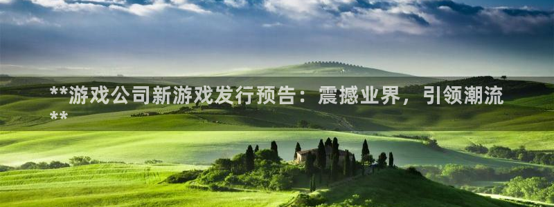天辰注册链接怎么弄：**游戏公司新游戏发行预告：震撼业界，引领潮流
**