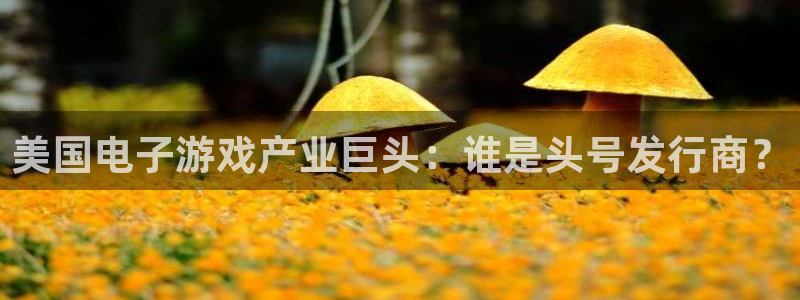 天辰平台示7O777：美国电子游戏产业巨头：谁是头号发行商？