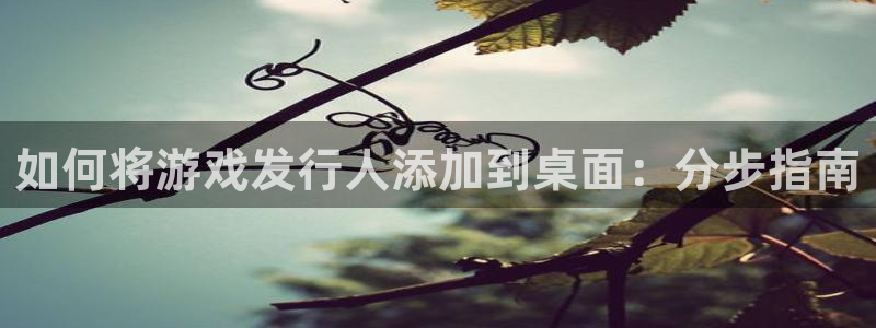 天辰平台网：如何将游戏发行人添加到桌面：分步指南