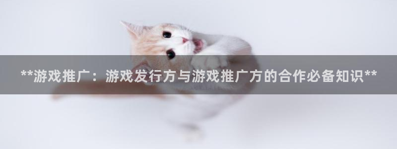 天辰平台听7O777：**游戏推广：游戏发行方与游戏推广方的合作必备知识**