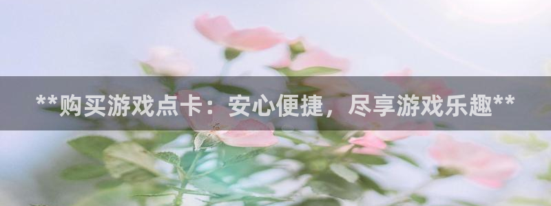 天辰平台用户登录不上去：**购买游戏点卡：安心便捷，尽享游戏乐趣**