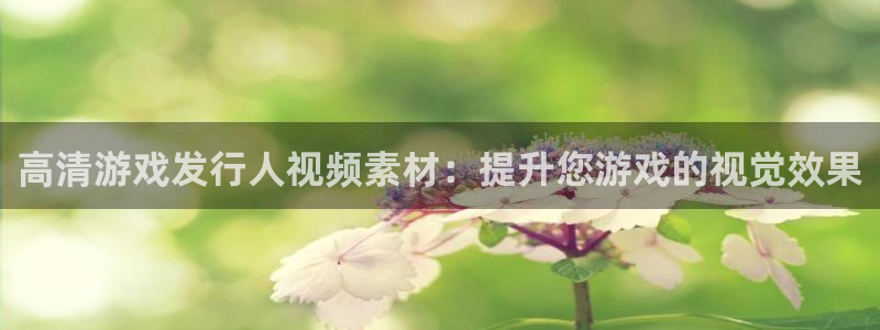 天辰平台用户登录入口在哪：高清游戏发行人视频素材：提升您游戏的视觉效果