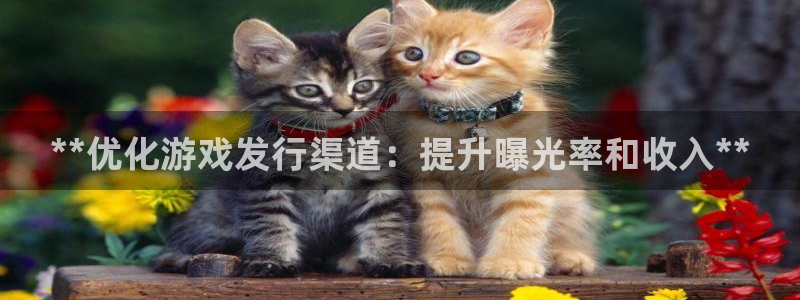 天辰娱乐官网最新公告消息：**优化游戏发行渠道：提升曝光率和收入**