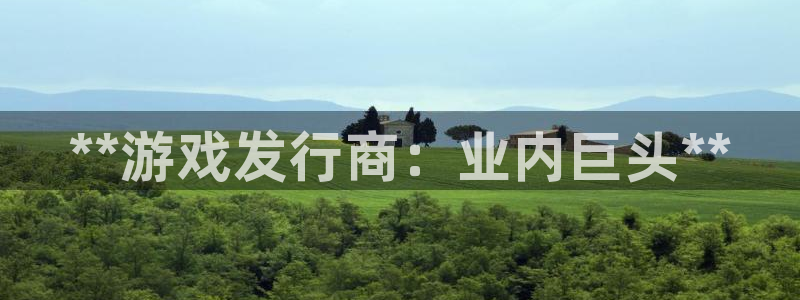 天辰娱乐厅破解规律透视辅助：**游戏发行商：业内巨头**
