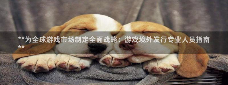 天辰平台用户登录不了：**为全球游戏市场制定全面战略：游戏境外发行专业人员指南
**