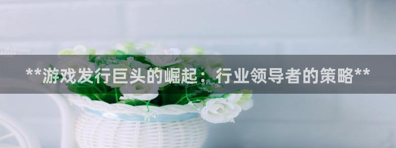 天辰娱乐平台用户评价与反馈：**游戏发行巨头的崛起：行业领导者的策略**