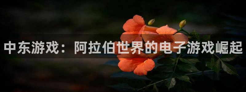 天辰平台注册登录地址在哪里改：中东游戏：阿拉伯世界的电子游戏崛起