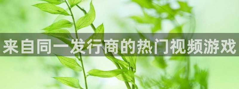 天辰网站：来自同一发行商的热门视频游戏