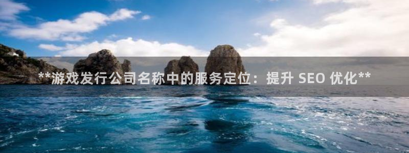 天辰平台用户登录失败什么原因：**游戏发行公司名称中的服务定位：提升 SEO 优化**