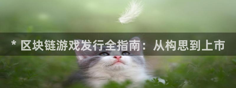 天辰娱乐厅破解规律：* 区块链游戏发行全指南：从构思到上市