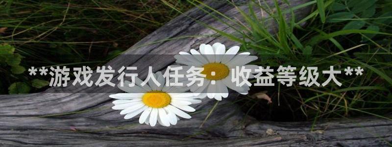 天辰平台搜索 58534I 平台：**游戏发行人任务：收益等级大**