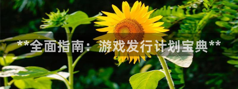 天辰平台律7O777