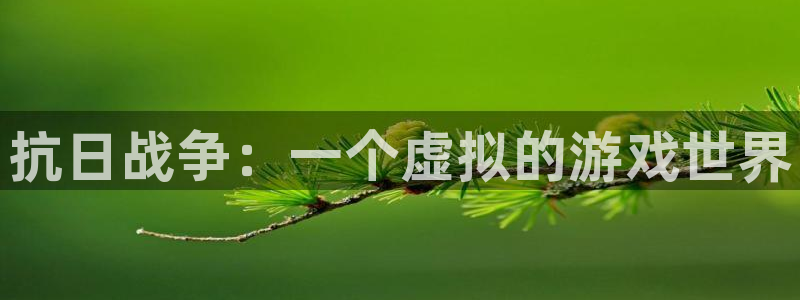 天辰平台怎么样赚钱：抗日战争：一个虚拟的游戏世界