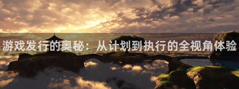 天辰平台登录注册失败：游戏发行的奥秘：从计划到执行的全视角体验