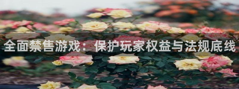 天辰平台注册你的专属平台入口：全面禁售游戏：保护玩家权益与法规底线