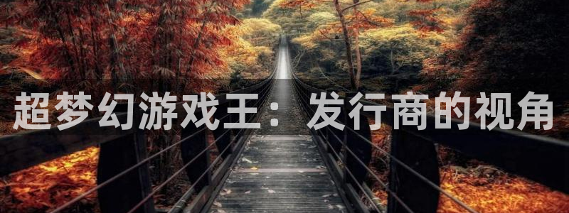 天辰信息：超梦幻游戏王：发行商的视角