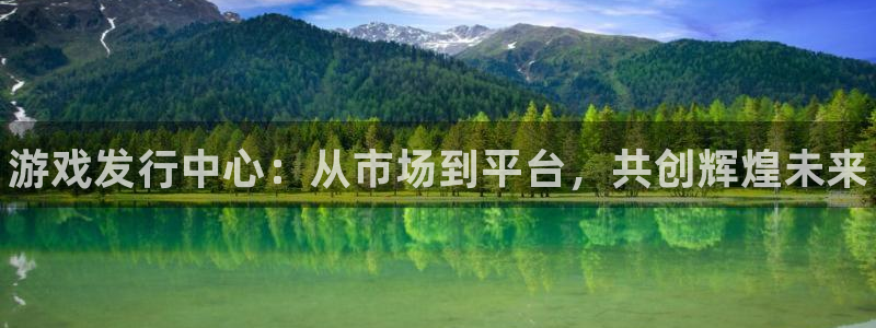 天辰平台测速登录失败怎么回事：游戏发行中心：从市场到平台，共创辉煌未来