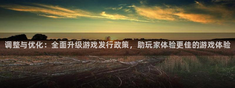 天辰平台注册稳定通道推荐设置：调整与优化：全面升级游戏发行政策，助玩家体验更佳的游戏体验