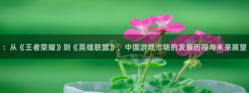 天辰测绘有限公司怎么样：：从《王者荣耀》到《英雄联盟》，中国游戏市场的发展历程与未来展望