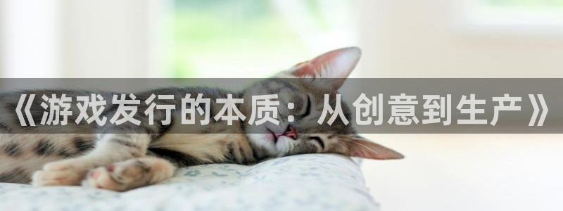 天辰平台怎么样可靠吗知乎：《游戏发行的本质：从创意到生产》