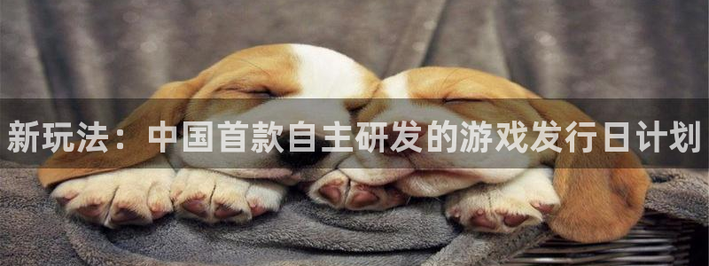 天辰平台测速登录不上怎么回事：新玩法：中国首款自主研发的游戏发行日计划