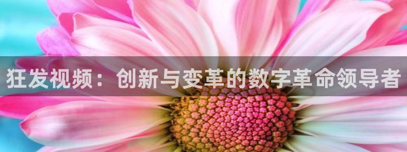 天辰平台会员值得买吗现在：狂发视频：创新与变革的数字革命领导者